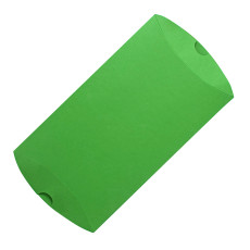 Коробка подарочная PACK; 23*16*4 см; зеленое яблоко