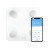 Умные диагностические весы Picooc Mini Lite White (6924917717339), белый Умные диагностические весы Picooc Mini Lite White (6924917717339), белый